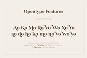 Rolfter - Classic Serif, a Serif Font by AlienValley (Thumbnail 7 of 9)