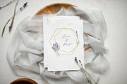 Love Lavender Set, an Illustration by Olga Koelsch (Thumbnail 8 of 11)