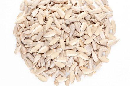 Circle of raw natural sunflower seed, a Food & Drink Photo by CARLOSANDESTHER