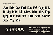 Golden Fat Elegant Modern Retro Font, a Serif Font by roomspace creative lab (Thumbnail 11 of 11)