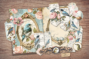 Bird Scrapbook Kit, an Animal Illustration by Secret Helper (Thumbnail 7 of 8)