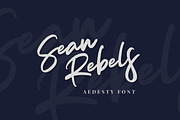 Aedesty // Handwritten Font, a Script Font by Masanis (Thumbnail 1 of 16)