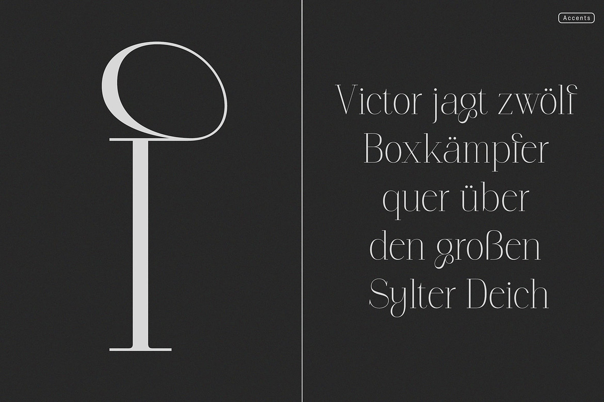 Polyglot Neue, a Serif Font by MJtypefoundry (Photo 9 of 13)