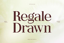 CS Regale Drawn