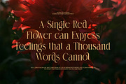 Sangid Elegant Serif Font, a Serif Font by Graphicxell (Thumbnail 5 of 8)