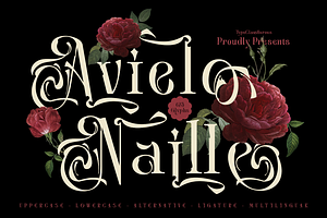 Avielo Naille - Modern Classic Serif