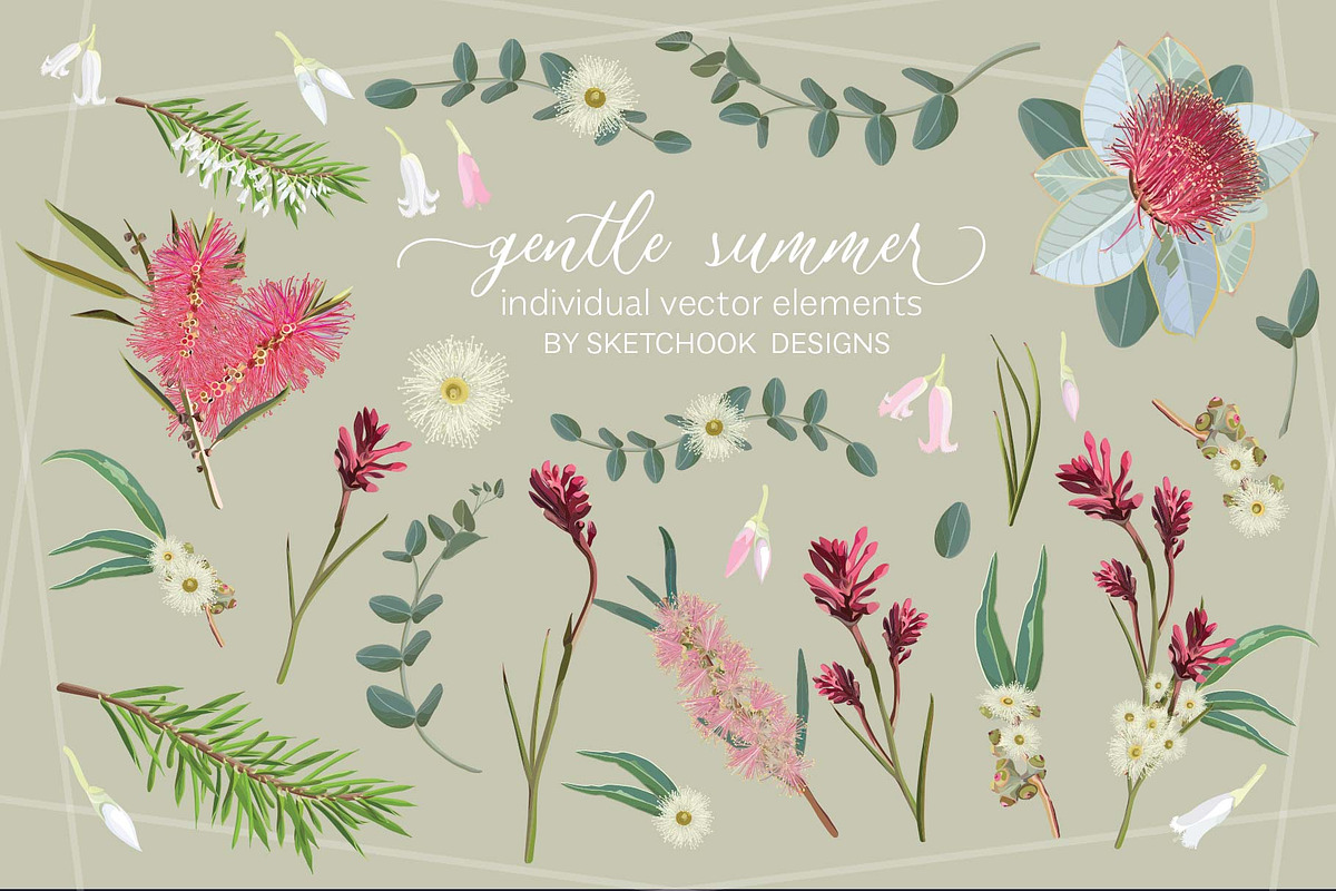 Gentle Summer Australian Wildflowers, an Illustration by Sketchbook Designs (Photo 4 of 14)