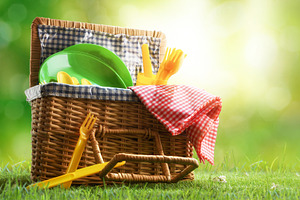 Picnic Basket on Grass in Sunny Park, a Holiday Photo by Davizro's Market