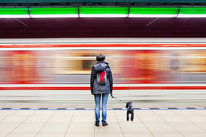 Woman with dog at subway station, a Person Photo by BOOCYS