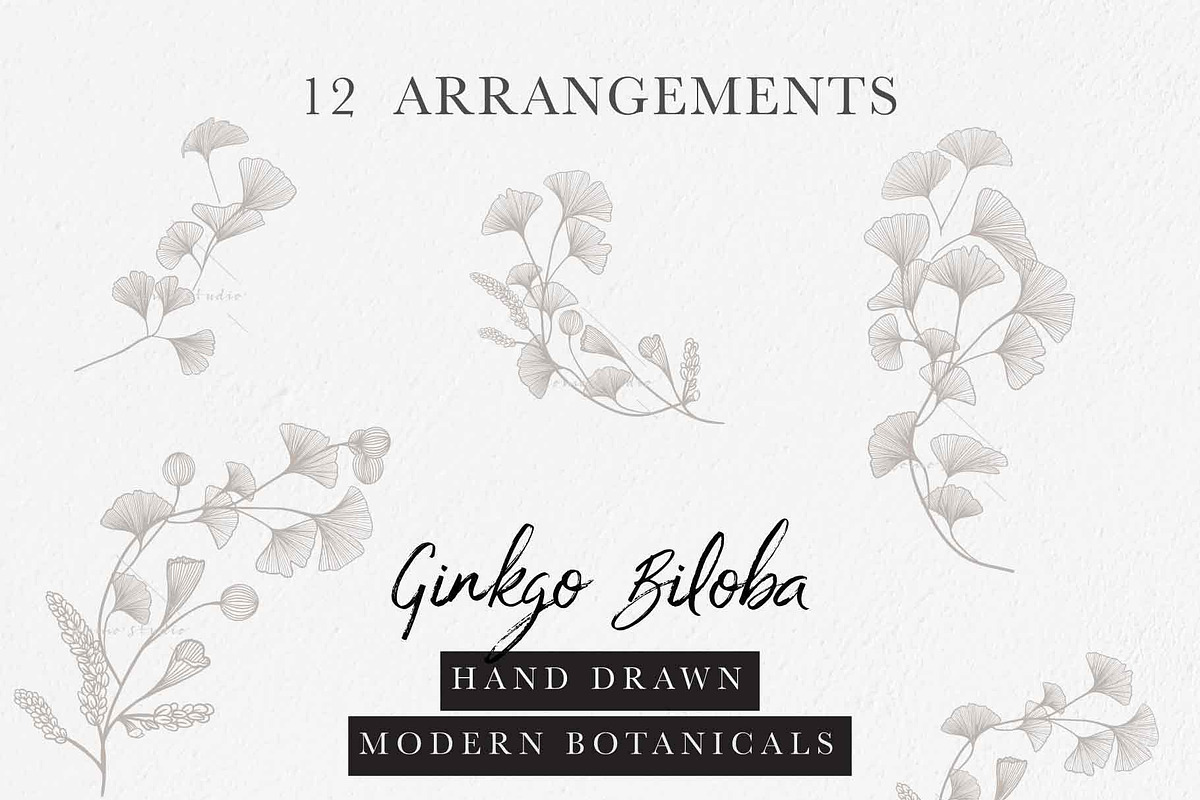 Ginkgo Botanicals - Florals & Leaves, an Illustration by Momo Studio (Photo 3 of 13)