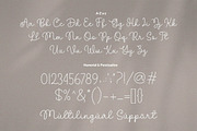 Malira - Monoline & Singleline Font, a Script Font by Subectype Studio (Thumbnail 8 of 8)