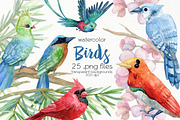 Watercolor Birds Clipart, an Animal Illustration by OllyKo Art (Thumbnail 1 of 7)