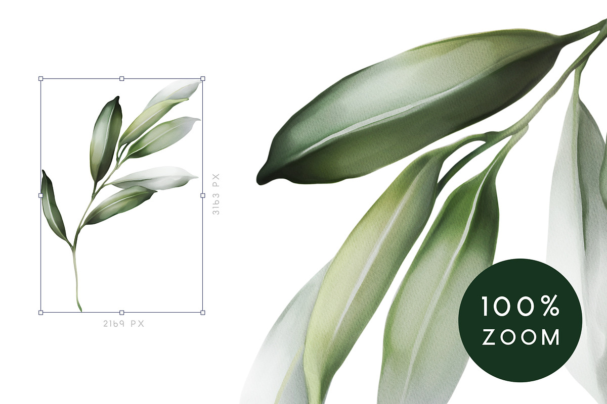 Green leaves | Botanical set, a Decorative Illustration by Karma (Photo 17 of 18)