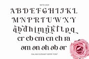 Galink New Elegant  Serif, a Serif Font by Muflieart (Thumbnail 9 of 9)