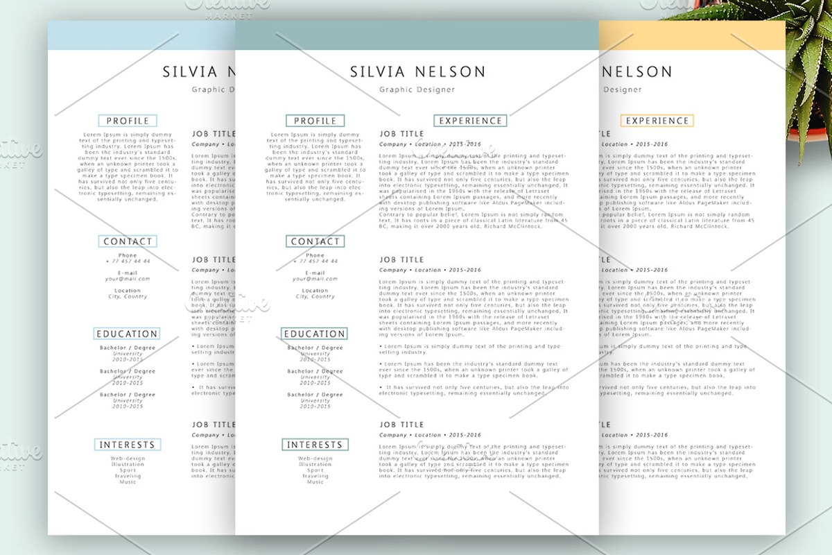 Resume Templates | 7 Styles, a Resume Template by Blossom (Photo 4 of 7)