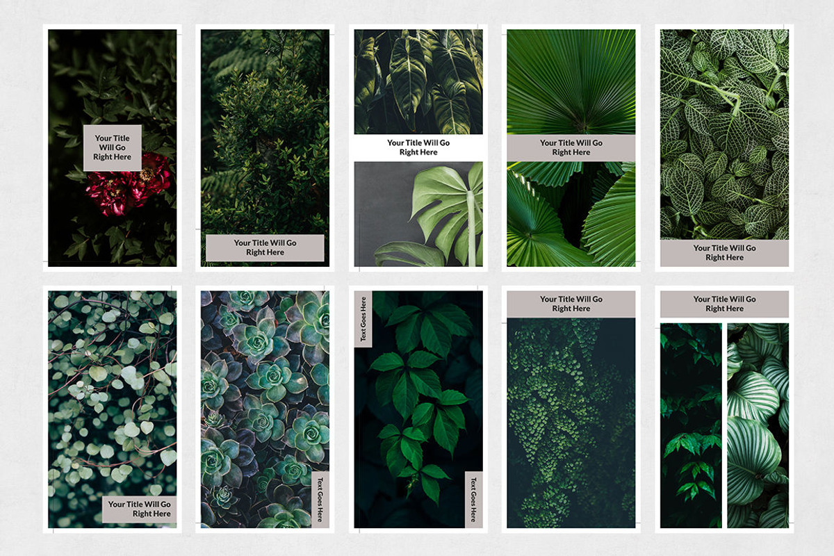 Nature Animated Instagram Stories, a Social Media Template by Social Corner Graphics (Photo 8 of 9)