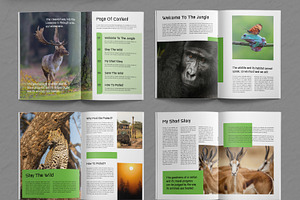 Wild Life Magazine Template