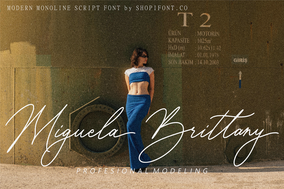 Blaisflur Radiante, a Script Font by Shopifont.co (Photo 3 of 13)