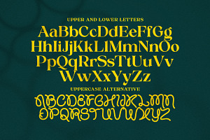 Proxina Serif Font