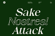 Briallen Pixel, a Serif Font by Craft Supply Co. (Thumbnail 2 of 8)