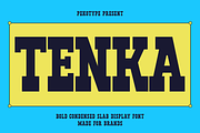 Tenka - Condensed Slab Serif Font, a Font by Pekotype (Thumbnail 1 of 15)