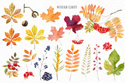 Autumn rustic watercolor kit, a Decorative Illustration by Elegantia (Thumbnail 2 of 10)