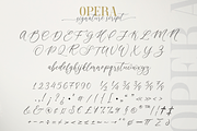 Opera Signature | Font Duo, a Serif Font by Larin Type Co. (Thumbnail 14 of 15)