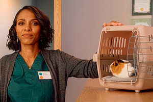 Mature black woman at veterinary clinic waiting area with guinea, a Photo by DanFLCreativo