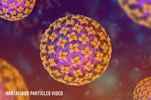 Hantavirus (video), a Scene 3D Model by Avartde Creative