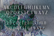 Wedding Display Font, a Font by biibee (Thumbnail 2 of 8)