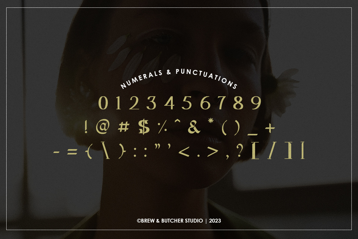 Melbo | Display Typeface, a Serif Font by Brew & Butcher Studio (Photo 3 of 9)