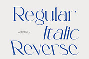 CS Cristia – Elegant Serif Font, a Serif Font by Craft Supply Co. (Thumbnail 4 of 8)