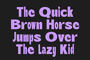 Bengal Mix, a Sans Serif Font by Craft Supply Co. (Thumbnail 4 of 8)