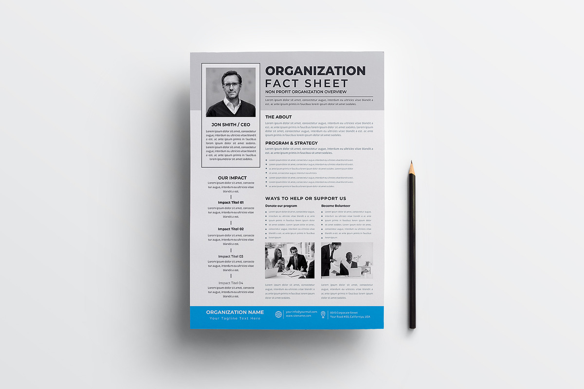 Nonprofit Organization Fact Sheet, a Flyer Template by obayes