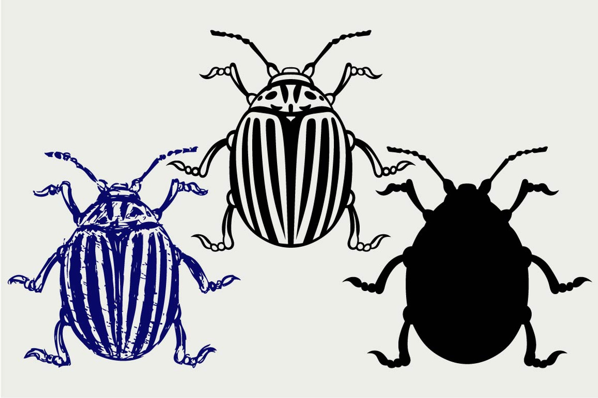 Colorado beetle SVG, an Outline Icon by LineworkStock