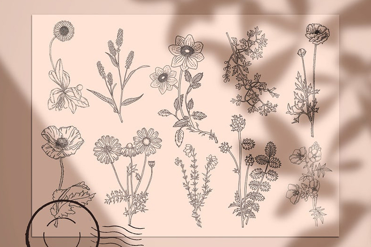 Botanical Clip Art Wild Flowers PNG, an Illustration by MakeMyPlaceDesign (Photo 3 of 3)