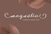 Desintona Script, a Script Font by Solidtype (Thumbnail 4 of 8)