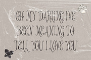 Lace Me Up My Love Whimsical Serif, a Serif Font by The October Creative (Thumbnail 6 of 8)