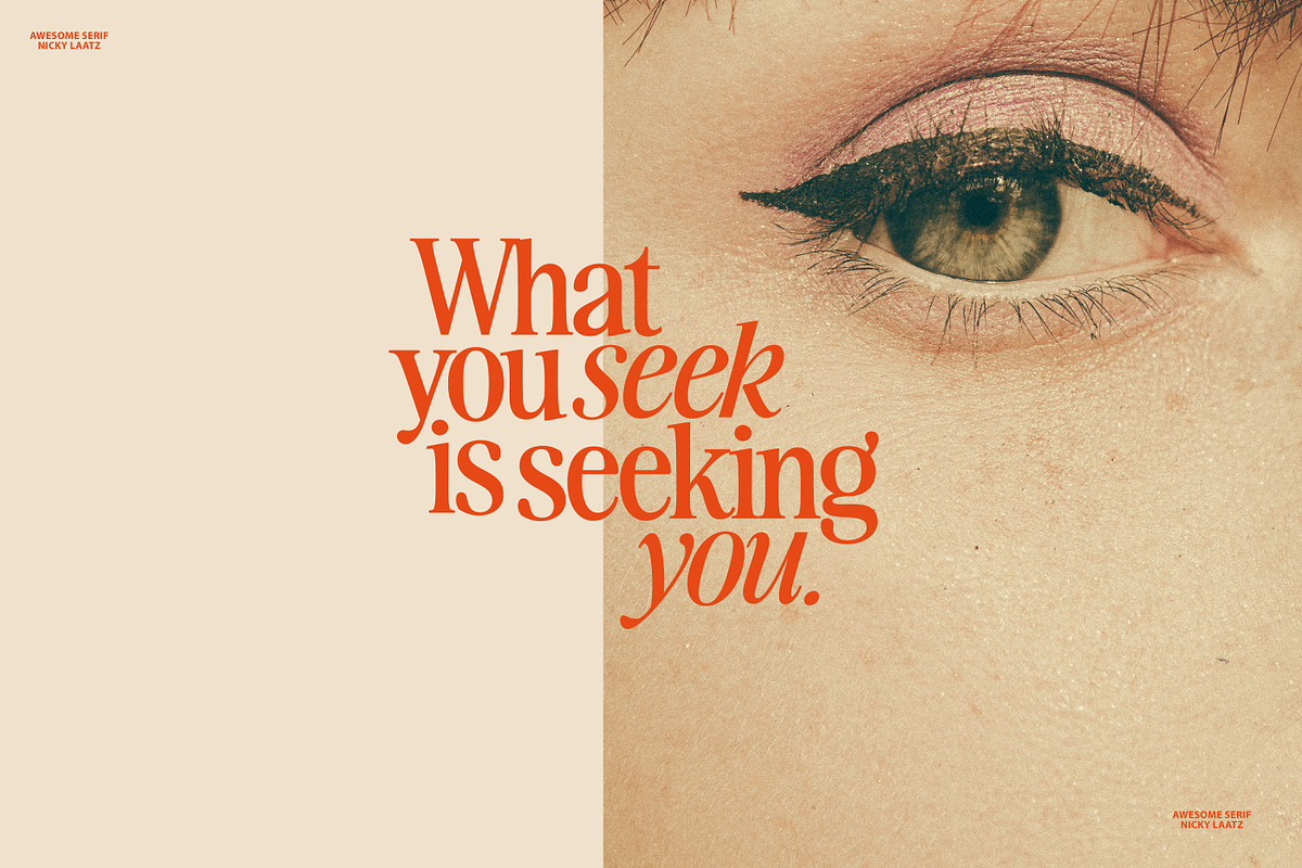 The Awesome Serif Family (32 Fonts), a Serif Font by Nicky Laatz (Photo 7 of 42)