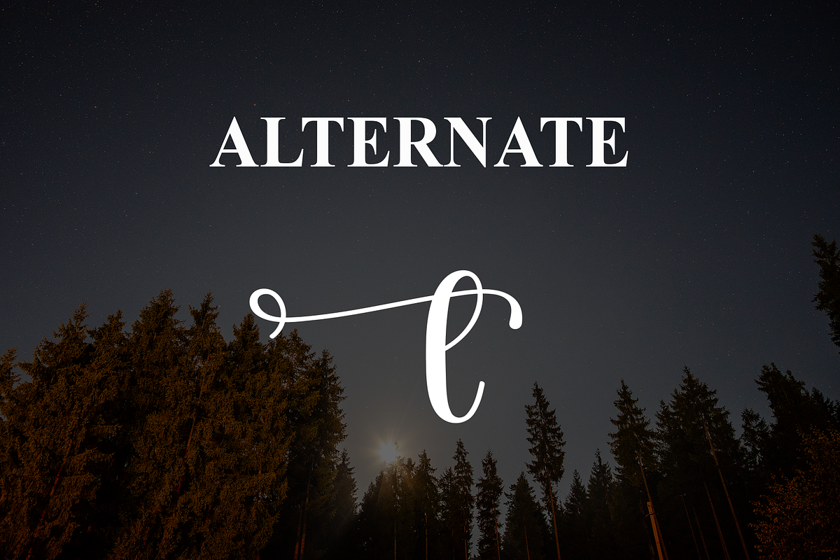 Night | Script Font, a Handwritten Font by Scratchones (Photo 8 of 9)