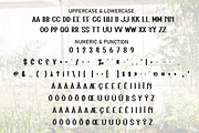 Indoor Garten | Script Font, a Script Font by Scratchones (Thumbnail 7 of 8)