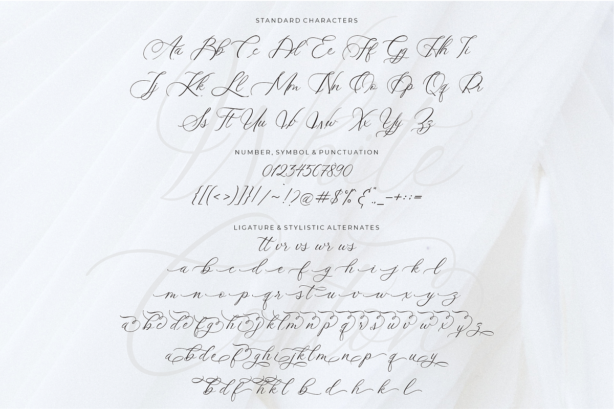 White Cotton - Wedding Fonts, a Script Font by 50Fox (Photo 18 of 18)