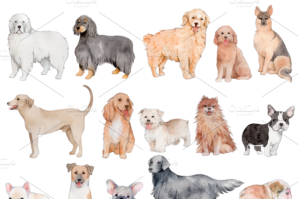 190+ Hand-drawn Watercolor Dogs, an Animal Illustration by ArtbyHien (Photo 11 of 12)