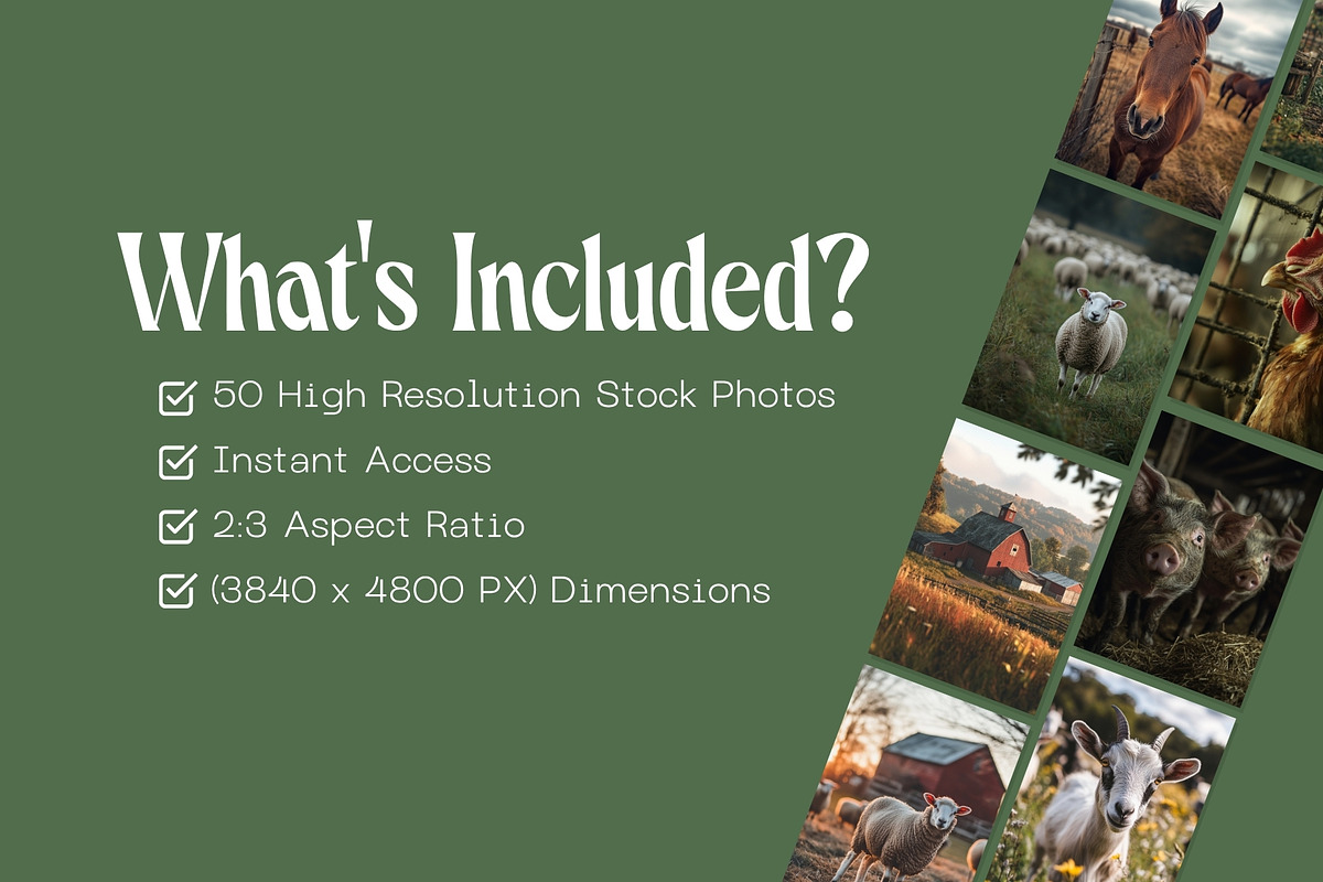50 Farm Life Stock Photos, an Animal Photo by Incomelion (Photo 3 of 9)