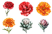Various Flowers Clipart, an Illustration by Watercolor design (Thumbnail 4 of 4)