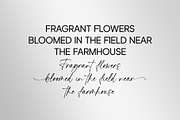 Cromathic | Font Duo, a Script Font by Lemonthe (Thumbnail 3 of 8)