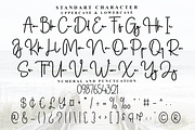Shine Together, a Handwritten Font by FreshTypeINK (Thumbnail 7 of 8)