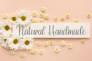 Wedding Memories, a Handwritten Font by FreshTypeINK (Thumbnail 7 of 8)