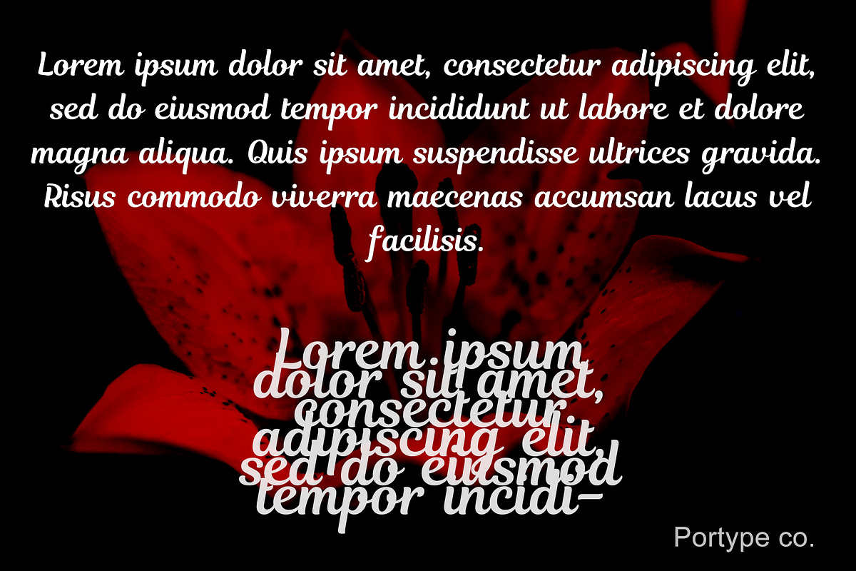 Elegantia - Romantic Font, a Script Font by portype (Photo 3 of 5)