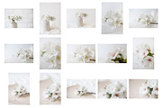 Cherry blossom | stock bundle containing stock photo, styled stock, and, a Nature Photo by Anna Wisjo Studio (Thumbnail 2 of 3)